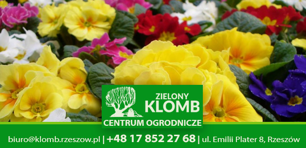 Nasiona kwiatów ozdobnych